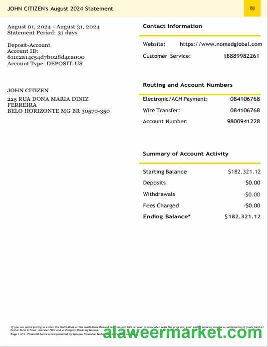 USA Nomad Global bank statement 3 – 6 months Word and PDF example